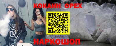дмт Гай