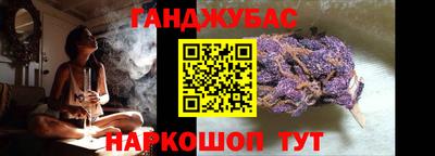 дмт Гай
