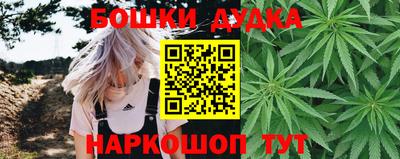 дмт Гай