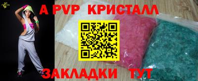 дмт Гай