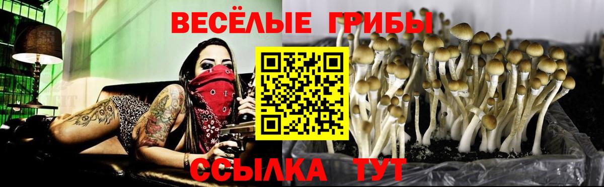 Трёхгорный  Галлюциногенные грибы Cubensis  Вход с VPN 